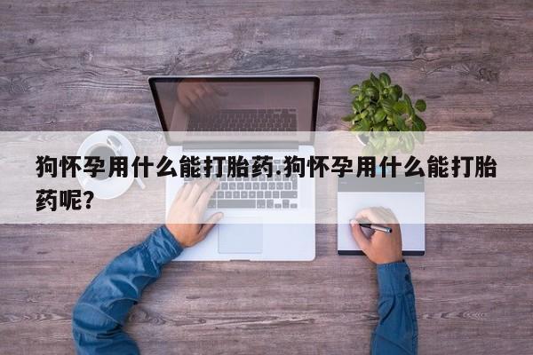私人打胎药专卖联系微信狗怀孕用什么能打胎药.狗怀孕用什么能打胎药呢？
