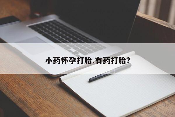 私人打胎药专卖联系微信小药怀孕打胎.有药打胎？