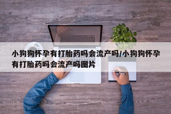 私人打胎药专卖联系微信小狗狗怀孕有打胎药吗会流产吗/小狗狗怀孕有打胎药吗会流产吗图片