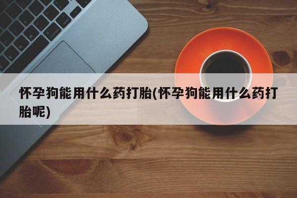 私人打胎药专卖联系微信怀孕狗能用什么药打胎(怀孕狗能用什么药打胎呢)